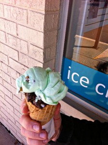Pistachio Nut and Zanzibar Chocolate