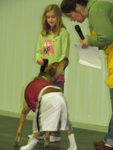 This dog was part of the "Any-Dog" Dog Show at Dogtona.