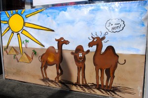 Visit the historic Courthouse Square in Danville to read about Clarence the Christmas Camel on business windows.