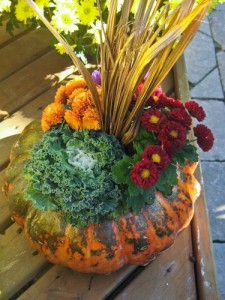 Bring the colors of fall into your home with this easy and eye-catching pumpkin planter.