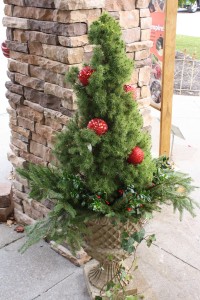 IMG_1620 for blog