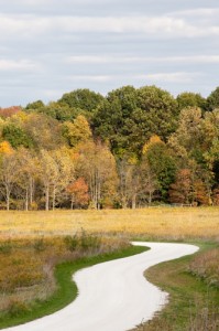 I'm excited for fall-- aren't you?