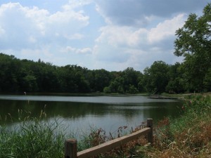 Sodalis Nature Park-- isn't this pond lovely?