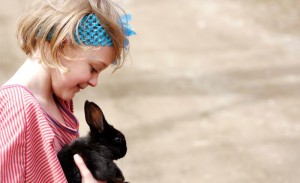 babybunny