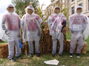 scarecrow 2013 - baseball