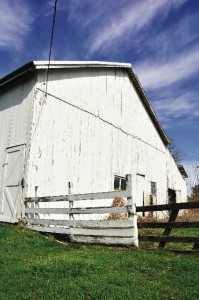 BarnEndView Cartlidge Barn