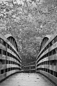 When the leaves fall, legend says that you can see the remains of a haunted old bridge from this footbridge behind Playscape in Ellis Park.