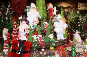IMG_1615 for blog