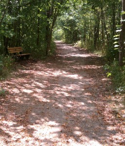 This could be one of the scenic areas you take in during a Summer Fun Run!