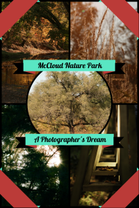 McCloud Nature Park (1)