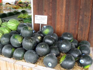 OFM4 Old Farm Market, Avon