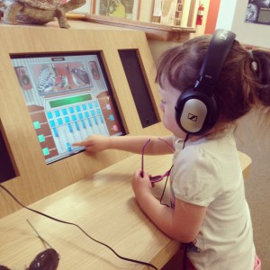 Making a song using a drum background and her favorite bird tunes.