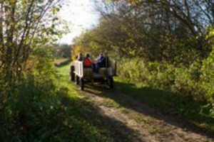 Don't miss out on a hayride at Nehemiah Ranch