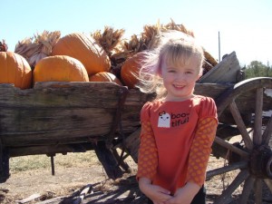 Fall at Beasley's Orchard