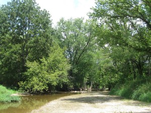 creek for fly fishing for blog