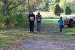 Go for a walk around Nehemiah Ranch at Harvest Days