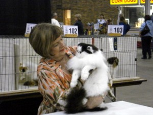 Indy Cat Club CFA Cat Show is October 26-27.