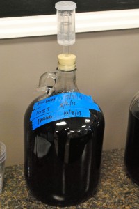 Learn how to make your own wine at Great Fermentations on Nov. 23.