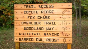 Experience some of these trails less traveled on Nov. 2 at 2 p.m. at McCloud Nature Park.