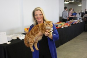 You can talk with the owners of the cats.