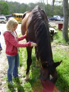 Natural Valley Ranch Family Fun Night