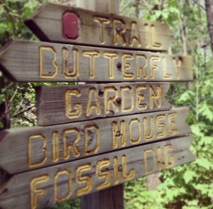 olctrail
