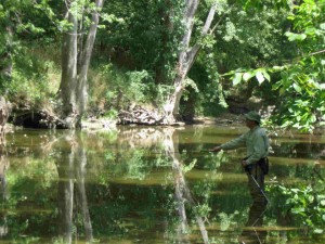 Fly Fishing at McCloud Nature Park in Hendricks County