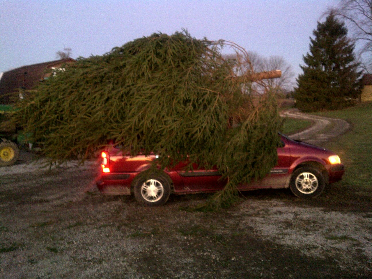 heading out to whispering pines is a family event too kids get free coloring books and candy canes theres free hot chocolate and coffee and tea for - Christmas Vacation Tree heading out to whispering pines is a family event too kids get free coloring books and candy canes theres free hot chocolate and coffee and tea for - Christmas Vacation Tree