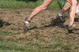 mud run