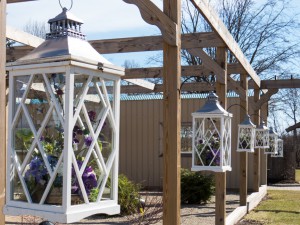 Avon Gardens