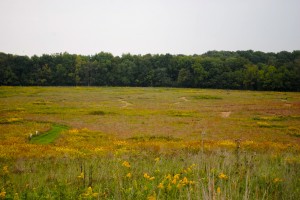 There's a lot to be learned about survival in the prairies and woods of McCloud Nature Park.