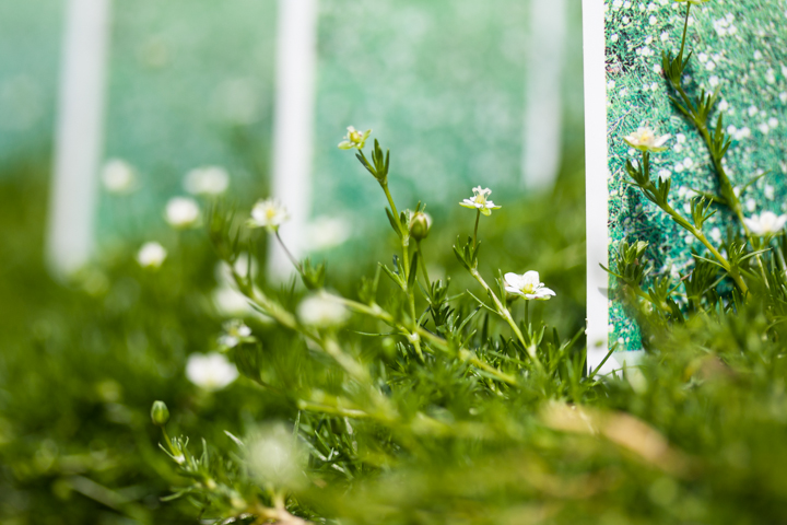 From what I've seen at garden shops around Hendricks County, miniature gardens are growing in popularity. Avon Gardens has a great selection of delicate, small flowers and greenery that will be perfect for your own miniature landscape.