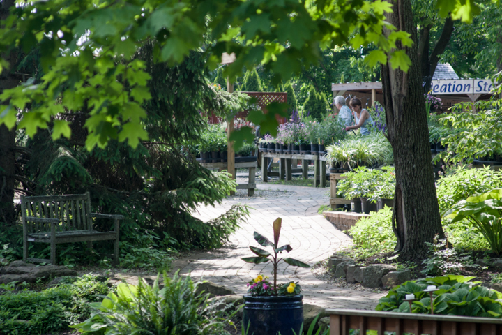 After you've strolled the grounds, be sure to peruse the hundreds of plants and flowers for sale.
