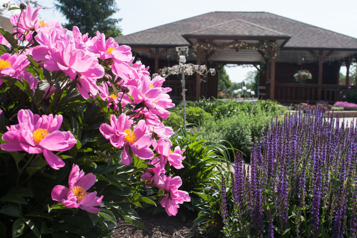 Covered areas, such as the pavilion, offer shelter from inclement weather and scorching sun.