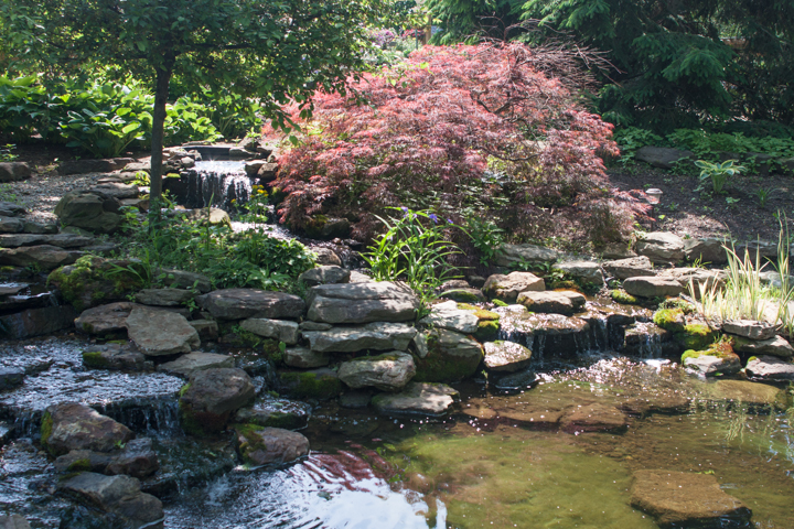 The Display Gardens stretch across five acres of land and offer gardeners the opportunity to see what their plants will look like when matured.