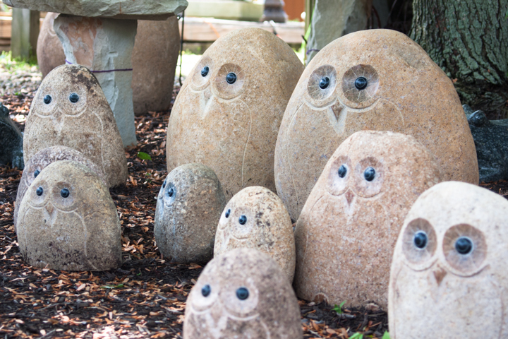 No garden is complete without some wildlife, don't you agree?