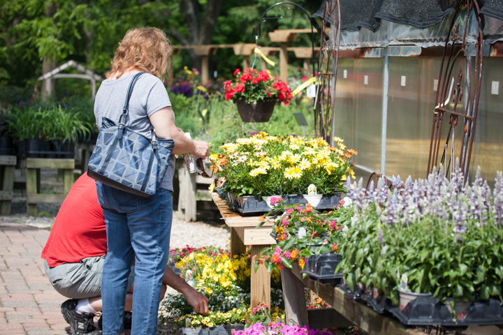 If you have a plan for your garden, you'll find everything you need. If you don't have a plan and need some help, many knowledgeable, friendly staffers are available to give you a hand.