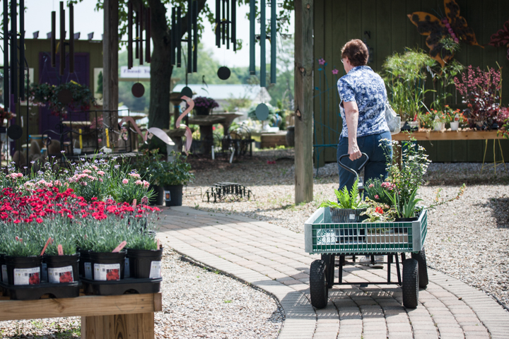 Ready to load up your car? Not to worry, wagons are on hand to help you tote your haul to the parking lot. Make multiple trips, if you need to!