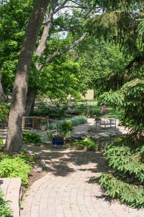 One of the first areas you see as you enter the permanent area of Avon Gardens, a quiet gathering place lies in the shade over a gurgling creek.