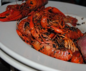 Zydeco's pic 8