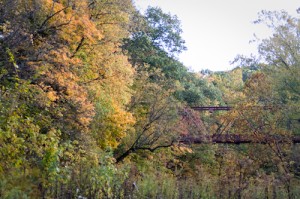 visit the lovely McCloud Nature Park