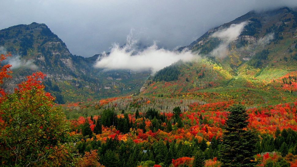 Falling for Utah Valley 6 Scenic Drives to see fall colors