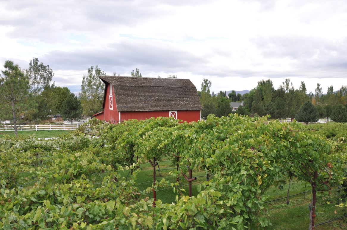 Wadley Farms Castle Explore Utah Valley