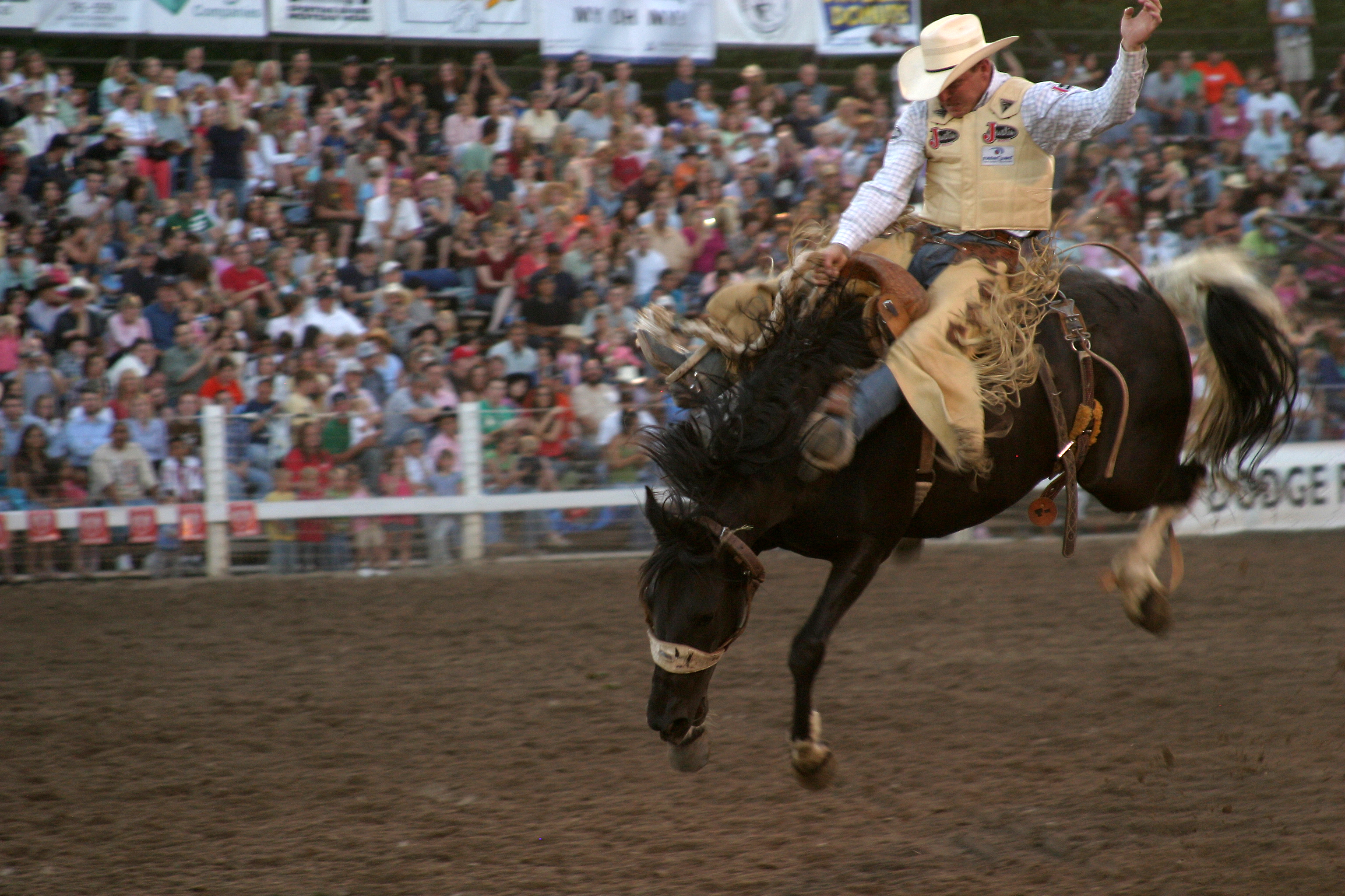 Strawberry Days Rodeo