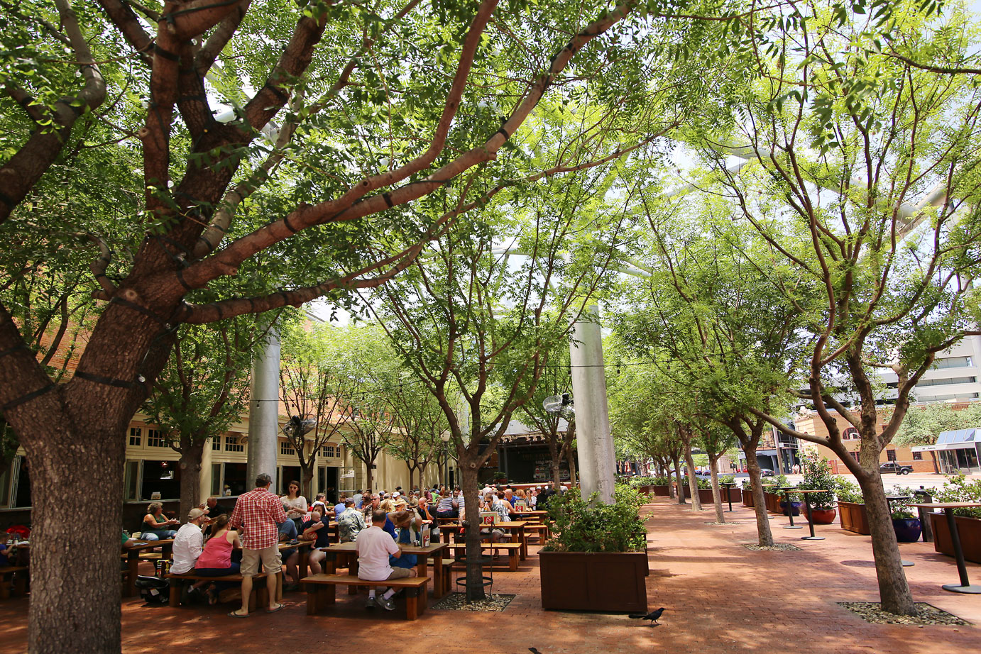 Drink Like a Local in Fort Worth