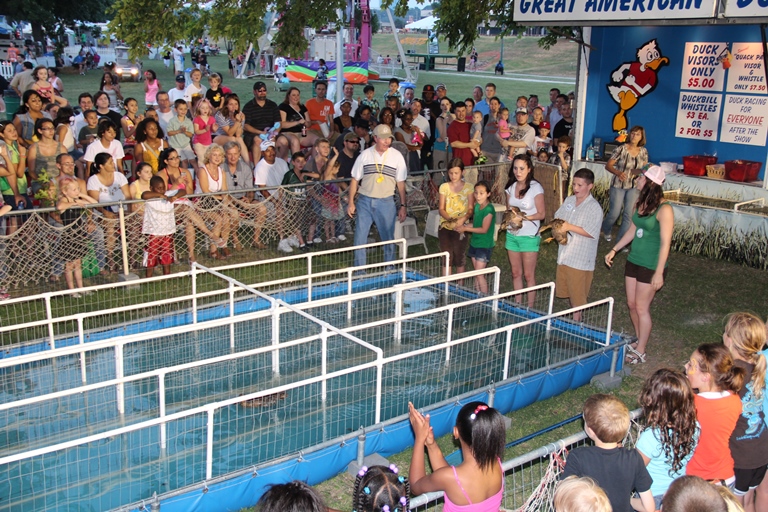 Duck Races