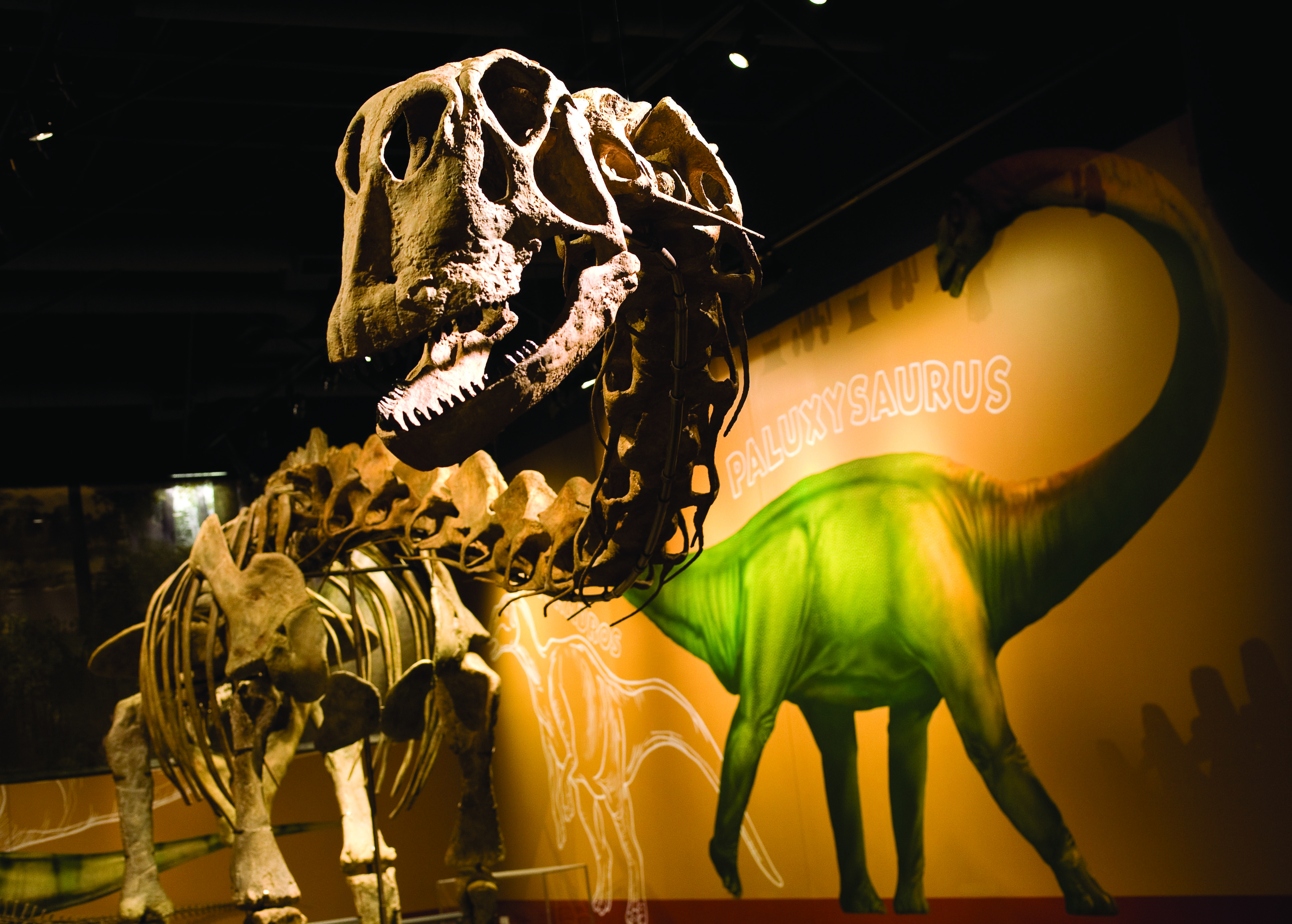 Fort Worth Museum of Science and History Fort Worth Museum of Science and History