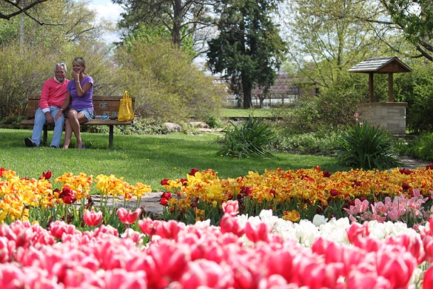 Tulip Time at Gage Park Tulip Time at Gage Park