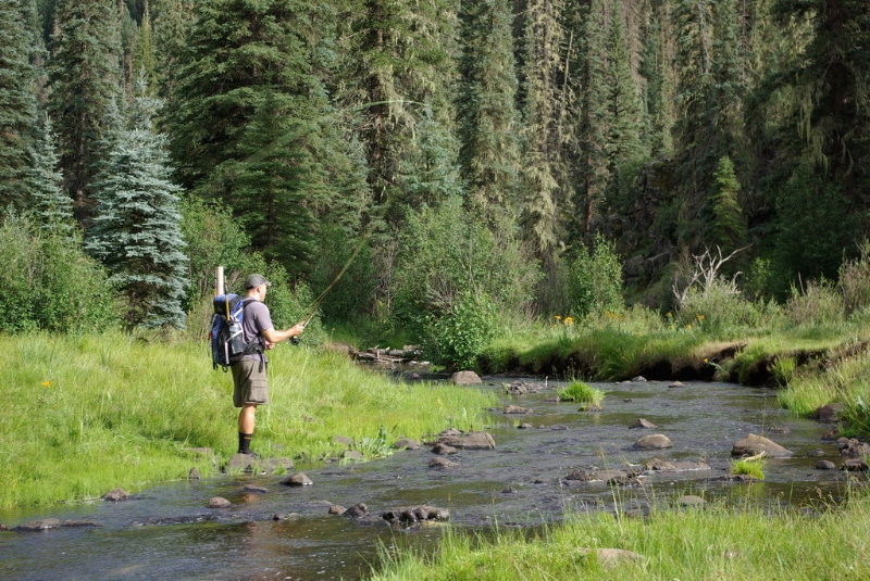 Day Trips from Phoenix Arizona