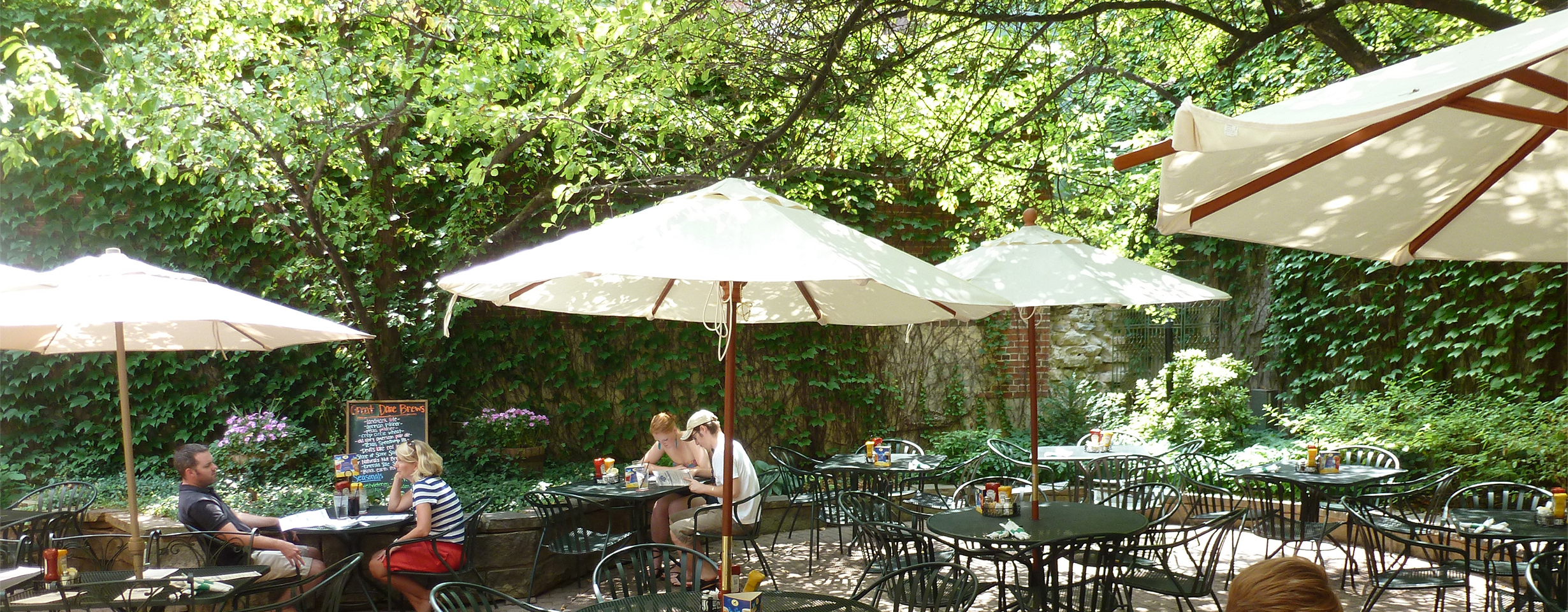 Great Dane: Dining on the Patio
